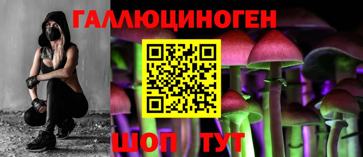 Галлюциногенные грибы GOLDEN TEACHER Рассказово
