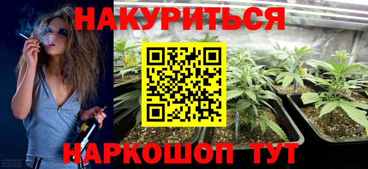 Рассказово  Бошки марихуана SATIVA & INDICA  Вход с VPN  Шишки марихуана тримм 